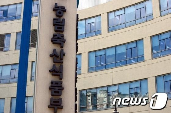 본문 이미지 -  