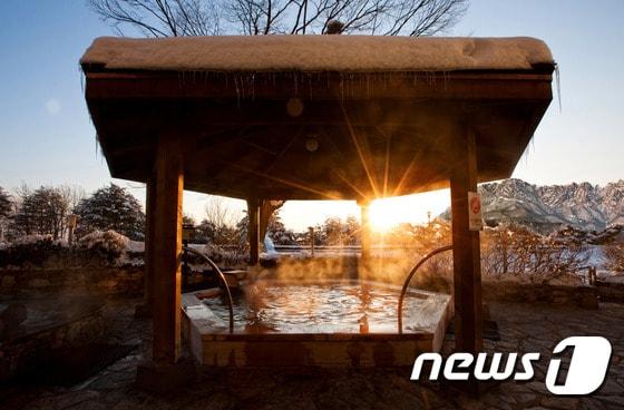 본문 이미지 - 델피노 골프 앤 리조트의 모습. (대명리조트 제공) ⓒ News1