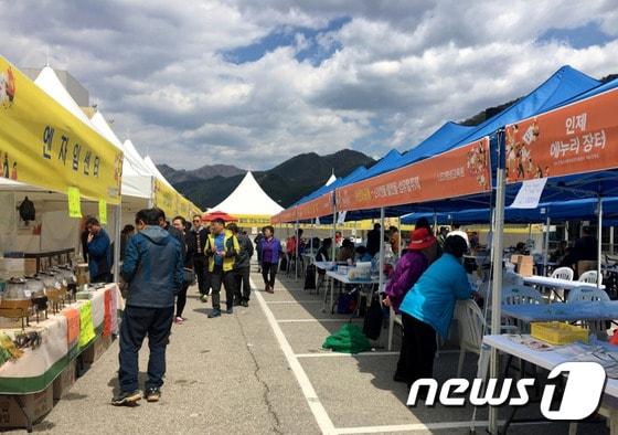본문 이미지 - 인제 에누리장터 모습. ⓒ News1