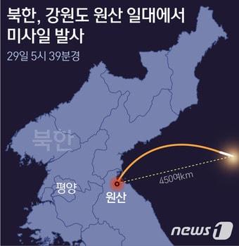 본문 이미지 - ⓒ News1 이은주 디자이너