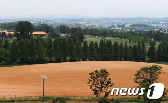 본문 이미지 - 성환종축장. ⓒ News1