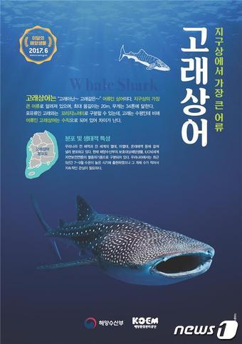 본문 이미지 - 자료=해양수산부ⓒ News1