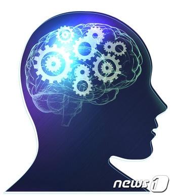 본문 이미지 - ⓒ News1