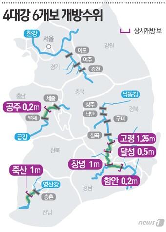 본문 이미지 - ⓒ News1 최진모 디자이너