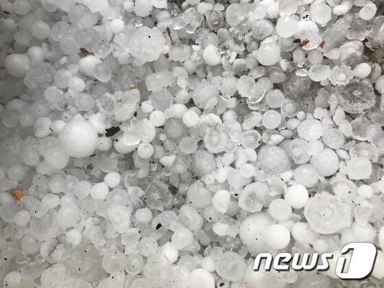 본문 이미지 - 우박 자료사진 ⓒ News1 피재윤 기자