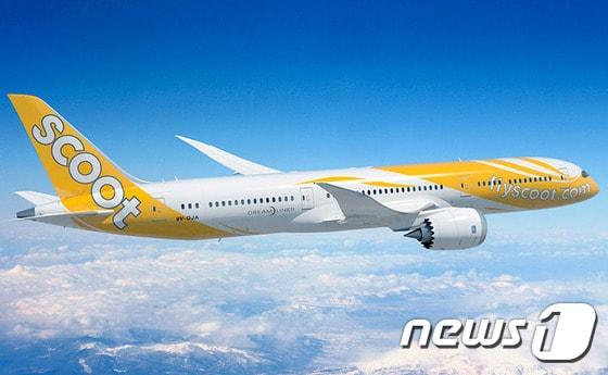 본문 이미지 - 스쿠트항공의 보잉787 드림라이너 기종ⓒ News1
