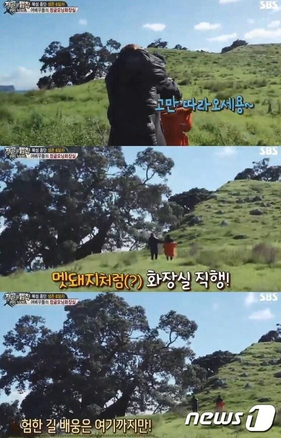 본문 이미지 - '정글의 법칙' 방송 캡처 ⓒ News1