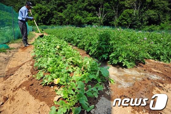 본문 이미지 - &#40;사진은 기사 내용과 무관함&#41; / 뉴스1 ⓒ News1