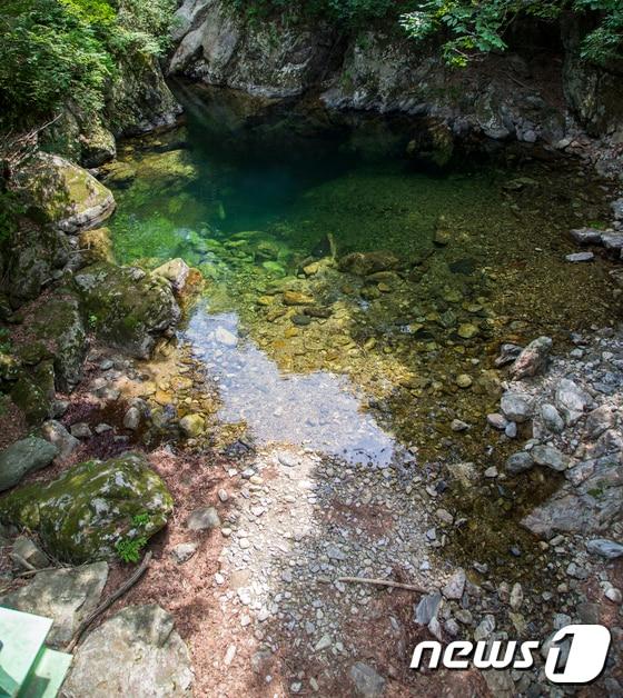 본문 이미지 - 19일 오후 지속된 가뭄으로 치악산국립공원 구룡계곡의 구룡소의 수위가 약 30㎝가량 낮아져 일부분이 바닥을 드러내고 있다.2017.6.19/뉴스1 ⓒ News1 이찬우 기자