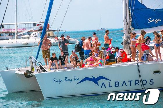 본문 이미지 - 이슬라 무헤레스에서 열리는 '고래상어 축제'. 멕시코관광청 제공.ⓒ News1