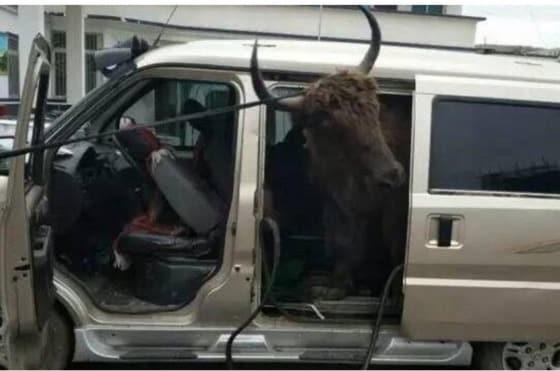 본문 이미지 - 화시도시보 갈무리