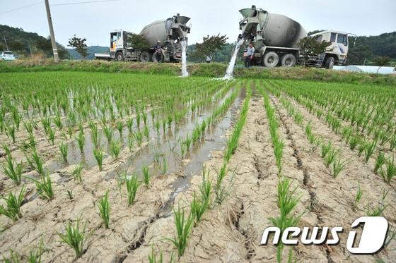 본문 이미지 - 경북도 농어촌용수 대책이 단순 저수지 확충에서 지역 간 물 불균형을 해소하는 통합 공급체계로 전환되고 있다.뉴스1