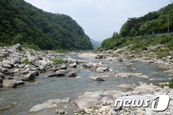 본문 이미지 - 극심한 가뭄이 이어지고 있는 20일 오후 래프팅 명소인 강원 인제 내린천이 메마르면서 돌들이 드러나고 있다. 2017.6.20/뉴스1 ⓒ News1 고재교 기자