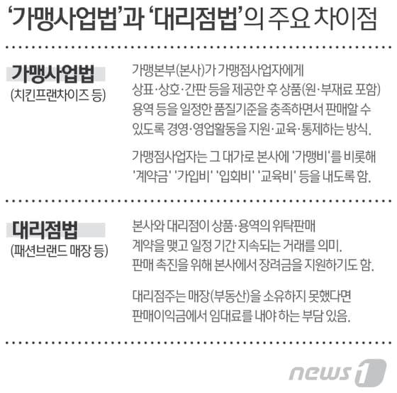본문 이미지 - 그래픽=최진모 디자이너ⓒ News1