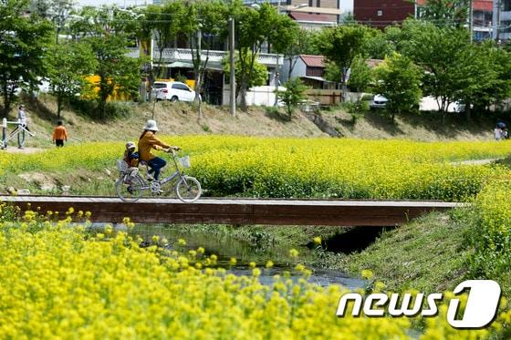 본문 이미지 - 천안천 자전거 도로 모습ⓒ News1