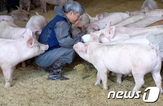 본문 이미지 - (사진은 기사 내용과 무관함) / 뉴스1 ⓒ News1
