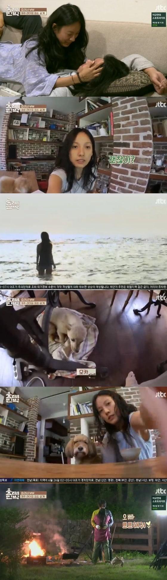 본문 이미지 - ⓒ News1 JTBC '효리네민박' 캡처