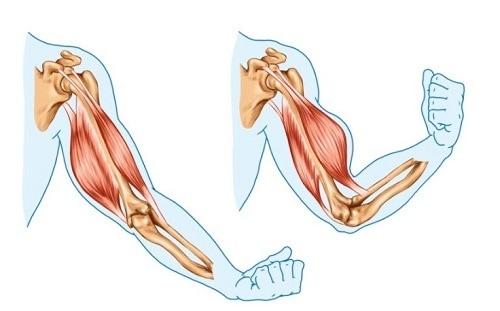 본문 이미지 - ⓒ News1