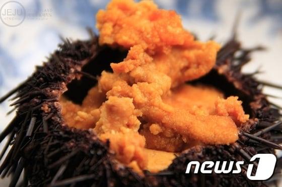 본문 이미지 - 성게. (제주도 제공) ⓒ News1