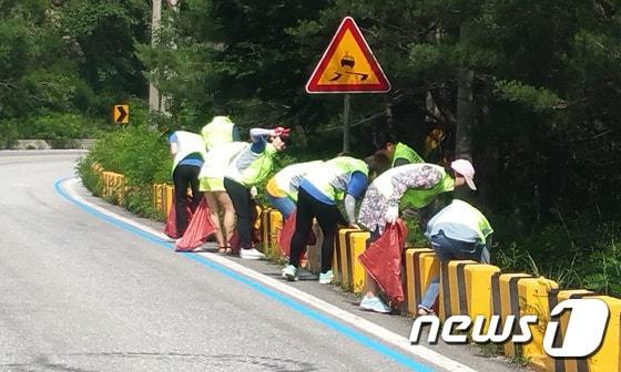 본문 이미지 - 29일 미시령동서관통도로주식회사 관계자들이 미시령옛길 청소봉사을 하고 있다. (미시령동서관통도로 제공) 2016.6.29/뉴스1 ⓒ News1 고재교 기자