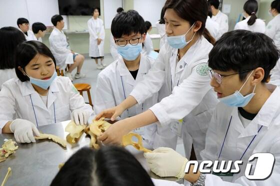 본문 이미지 - 서울 광진구 능동로 건국대학교에서 전공체험’에 참가한 고등학생들이 골학 및 심장해부학 실습을 하고 있다. (건국대 제공) /뉴스1