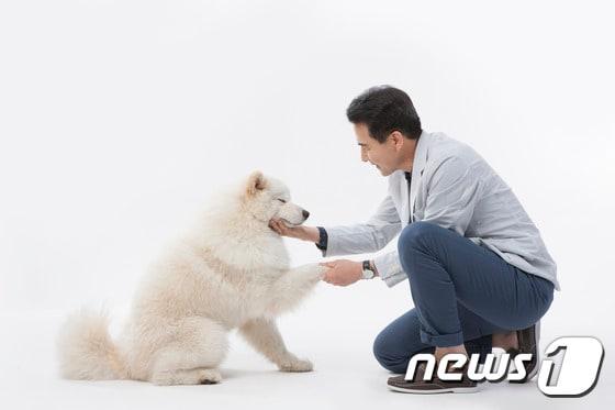 본문 이미지 - 개는 언어적 동물이 아니다. (사진 이미지투데이) ⓒ News1