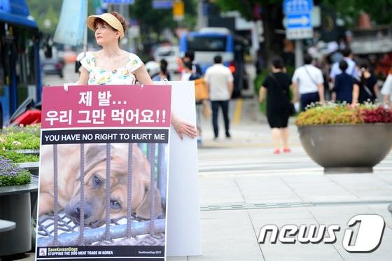 본문 이미지 - 11일 오전 서울 광화문광장에서 영국에서 온 한 동물보호단체 회원인 매들린 워렌(Madeline Warren)이 '개식용 반대' 피켓을 들고 1인 시위를 하고 있다. 2017.7.11/뉴스1 ⓒ News1 임세영 기자