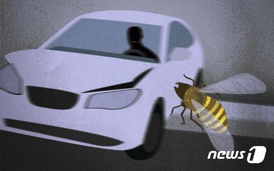 본문 이미지 - ⓒ News1 DB