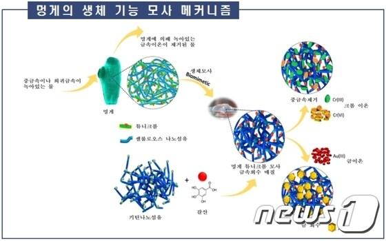본문 이미지 - 자료=해양수산부ⓒ News1