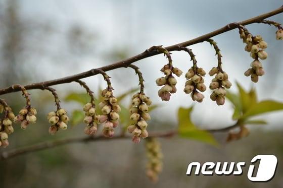 본문 이미지 - (사진은 기사 내용과 무관함) / 뉴스1 ⓒ News1