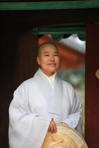 본문 이미지 - 일운스님(모과나무 제공)ⓒ News1