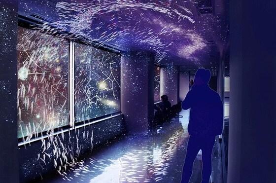 본문 이미지 - ⓒ News1