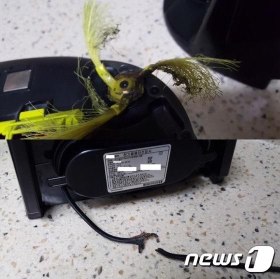 본문 이미지 - 지난 20일 파주시 문산읍의 한 아파트 내부에서 인공지능 로봇청소기가 스스로 작동하던 중 전선이 끊기고 청소부위 일부가 그슬렀다. ⓒ News1