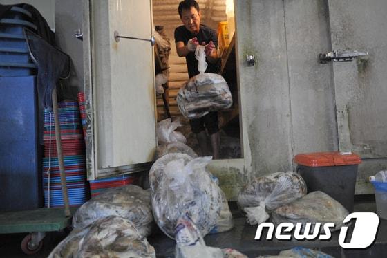 본문 이미지 - 강원 춘천시 우두동 냉동창고에서 생태계교란어종 수매가 진행되고 있는 가운데 한 어업인이 얼린 블루길, 강눈치, 배스 등을 냉동고에서 꺼내고 있다. ⓒ News1