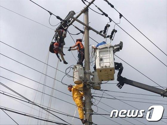 본문 이미지 - 지난 7월25일 제주의 한 고압선에 걸린 패러글라이딩. /뉴스1DB