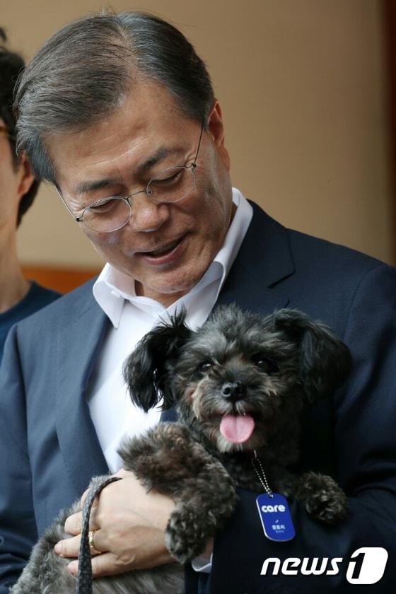 본문 이미지 - 지난 26일 문재인 대통령이 청와대에서 동물권단체 '케어' 관계자들로부터 유기견 '토리'를 입양받은 모습 (사진 청와대 제공) 2017.7.26/뉴스1 ⓒ News1 김명섭 기자