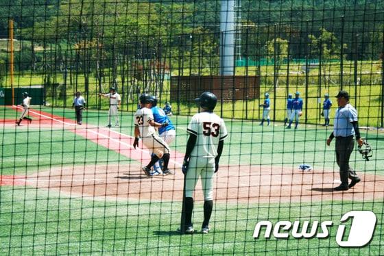 본문 이미지 - 제51회 대통령기 전국 대학야구대회 자료 사진. ⓒ 뉴스1