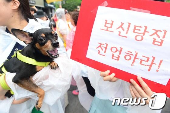 본문 이미지 - 8일 오후 서울 종로구 인사동 주변에서 열린 복날반대 시민행진에서 참가자들이 개고기 시장 완전철폐를 촉구하고 있다. 2017.7.8/뉴스1 ⓒ News1 임세영 기자
