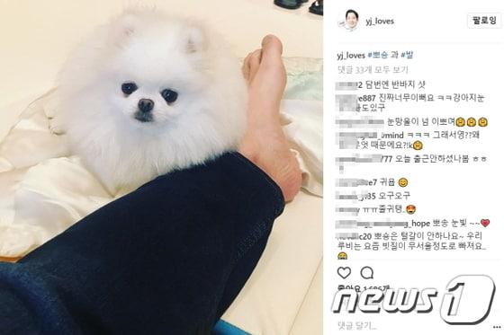 본문 이미지 - 사진 정용진 신세계그룹 부회장 인스타그램ⓒ News1