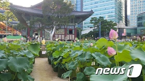 본문 이미지 - 조계사ⓒ News1