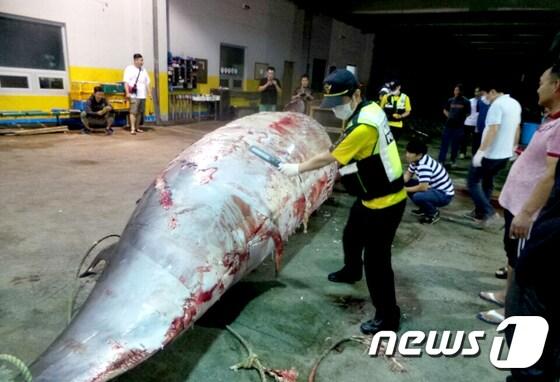 본문 이미지 - 뉴스1 DB ⓒ News1