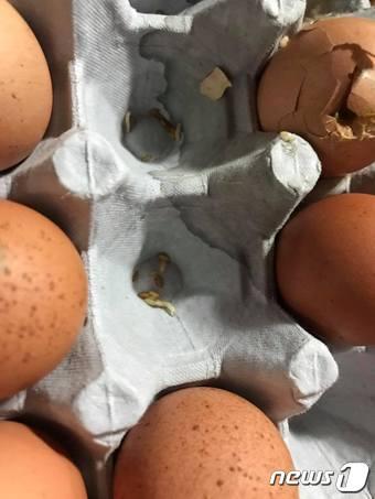 본문 이미지 - ⓒ News1