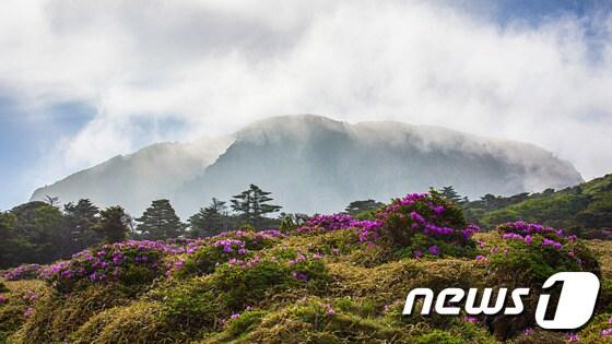 본문 이미지 - 포시즌스 호텔 제공ⓒ News1