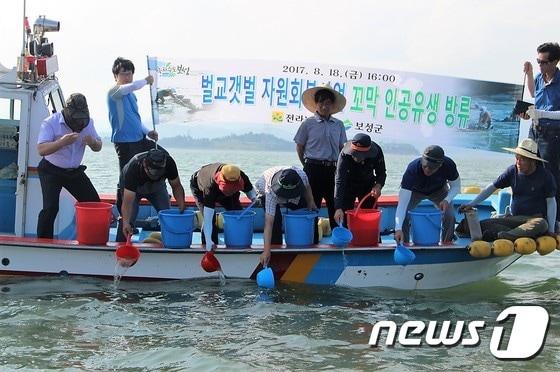 본문 이미지 - 벌교 꼬막 인공유생 시범 방류.(보성군 제공)/뉴스1 ⓒ News1