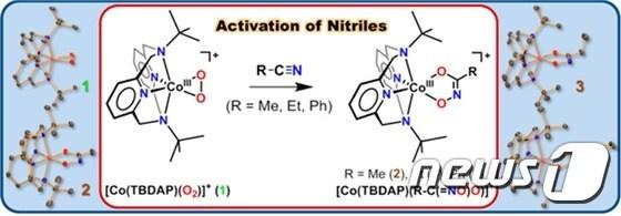 본문 이미지 - 나이트릴 활성화 반응 도식ⓒ News1