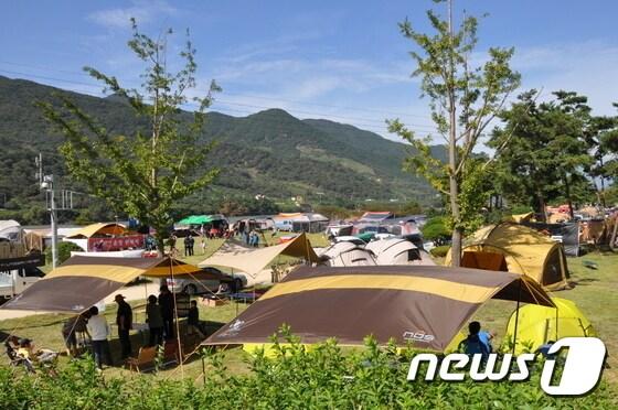 본문 이미지 - 한 캠핑장에서 휴가를 즐기는 모습. ⓒ News1