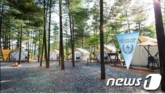 본문 이미지 - 켄싱턴 플로라 제공ⓒ News1