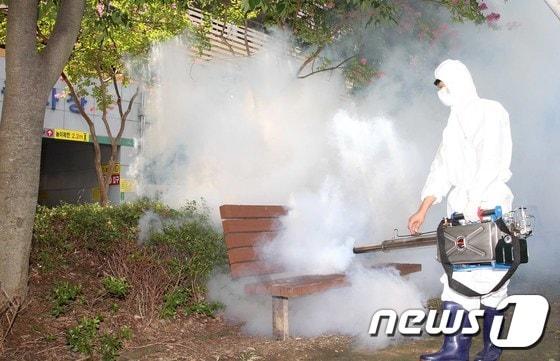 본문 이미지 - 자료사진./뉴스1 ⓒ News1