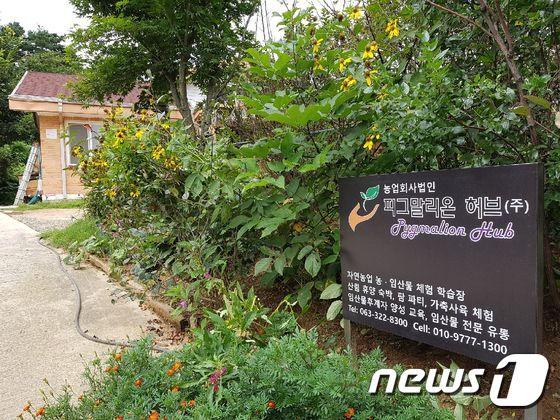 본문 이미지 - 전라북도 예비 사회적기업으로 선정된 농업회사법인 피그말리온 허브(주)./뉴스1ⓒ News1