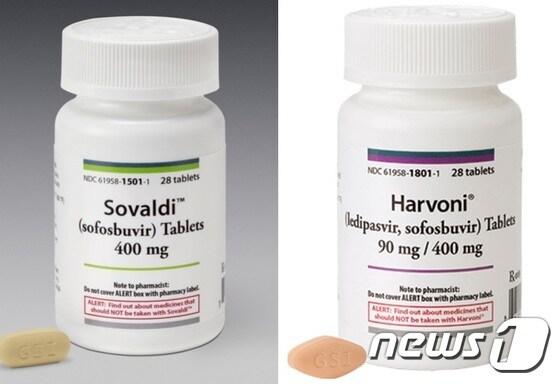 본문 이미지 - '소발디'와 '하보니' ⓒ News1